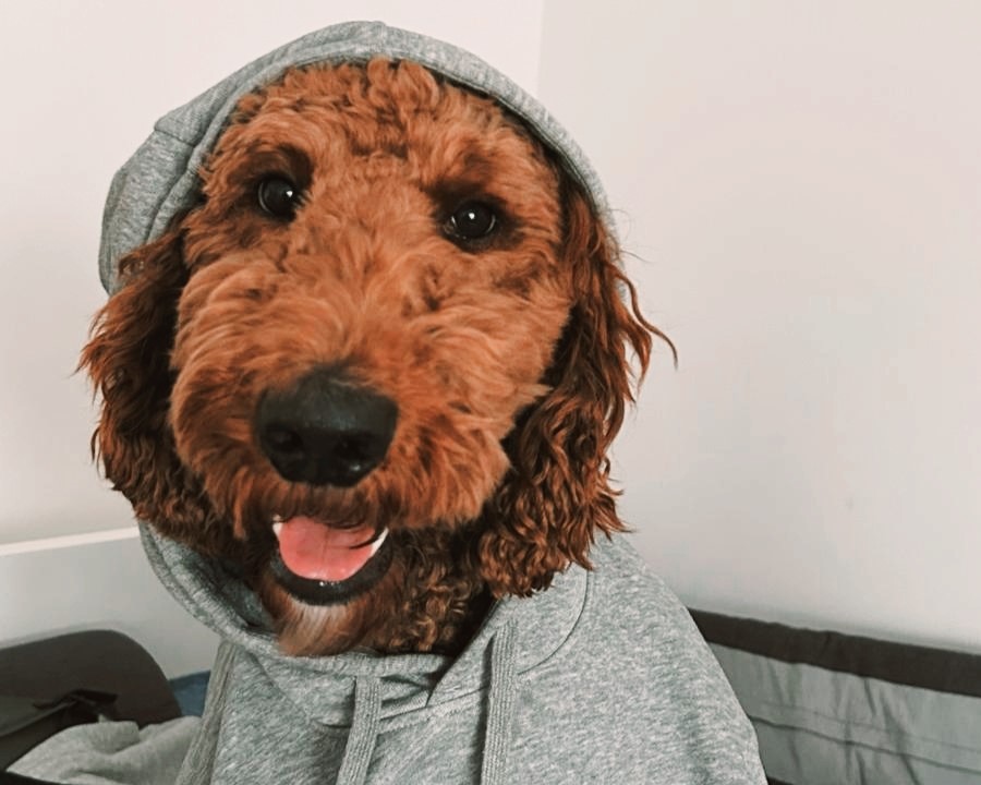 ?????????????????????????????????????????????????????????????????????????????????????????????????????????????????????????????????????????????????????????????????????????????????????????????????????????????????????????????????????????????????????????????????????????????????????????????????????????????????????????