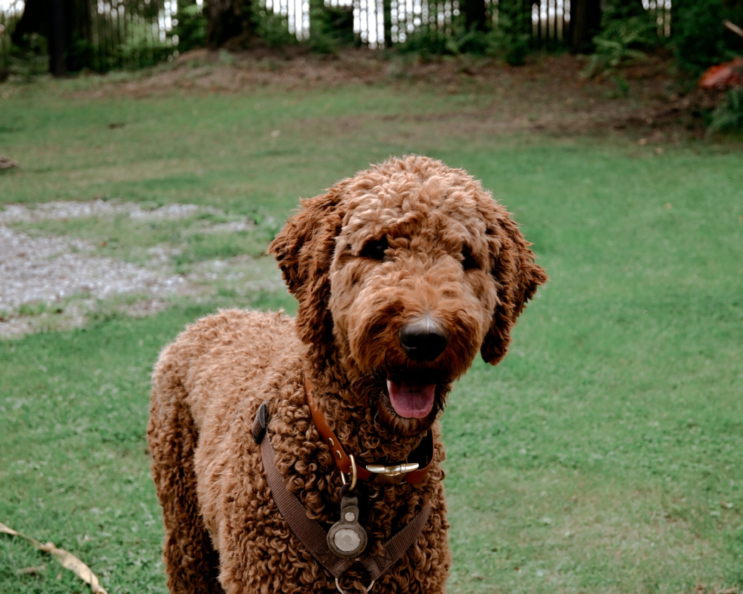 ?????????????????????????????????????????????????????????????????????????????????????????????????????????????????????????????????????????????????????????????????????????????????????????????????????????????????????????????????????????????????????????????????????????????????????????????????????????????????????????