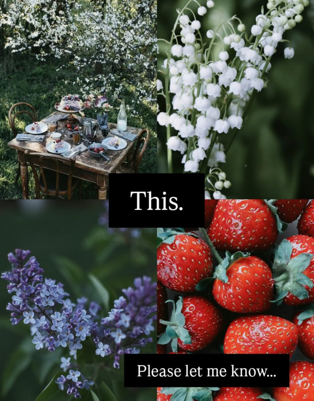 Instagram post from mystic.forest.mugs. This post is in position 3.