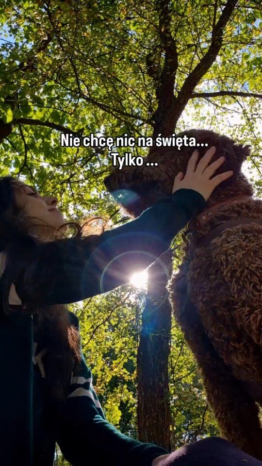 Instagram post from mystic.forest.mugs. This post is in position 2.