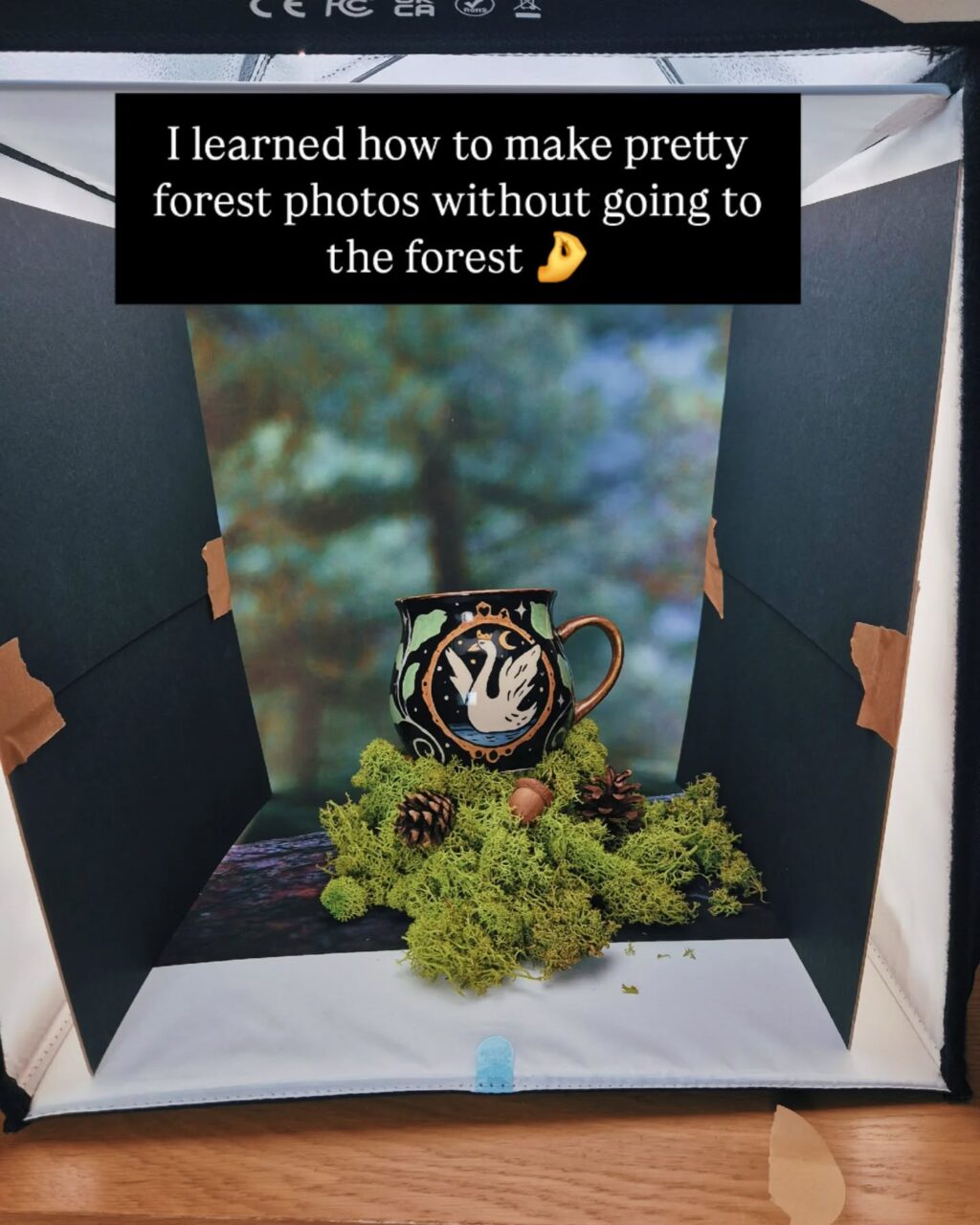 Instagram post from mystic.forest.mugs. This post is in position 5.