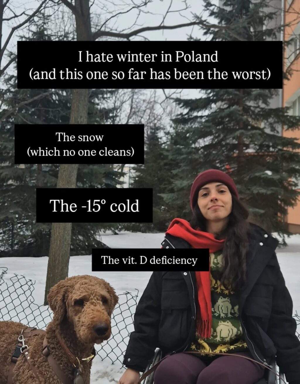 Instagram post from mystic.forest.mugs. This post is in position 1.