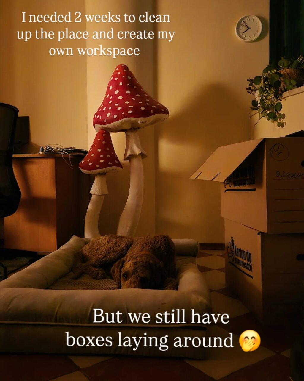 Instagram post from mystic.forest.mugs. This post is in position 2.