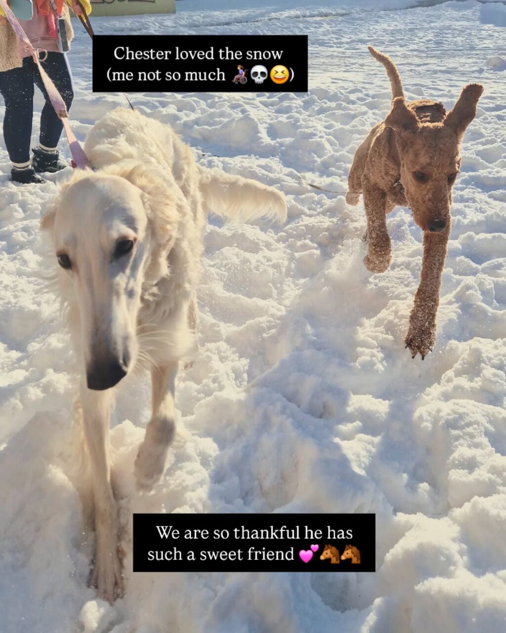 Instagram post from mystic.forest.mugs. This post is in position 4.