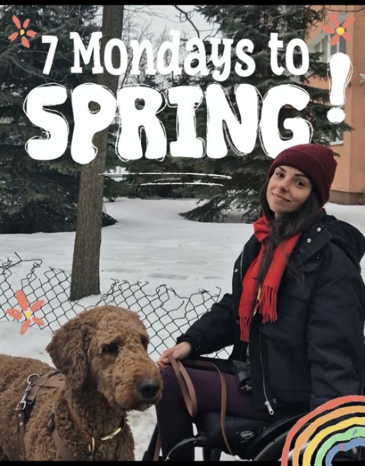 Instagram post from mystic.forest.mugs. This post is in position 5.